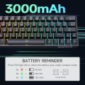 RGB Gaming Keyboard - Mechanical Keyboard Blue Switch Wired / Wireless Mini RGB Keyboard 87 Keys With & With Out Numpad - RGB Light Mechanical Keyboard Black/White - Detachable TYPE-C Wired/Wireless For Professional Gaming - Compatible With PC & Laptop. 