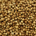 Coriander Seeds (Dhania Seed) 100g. 