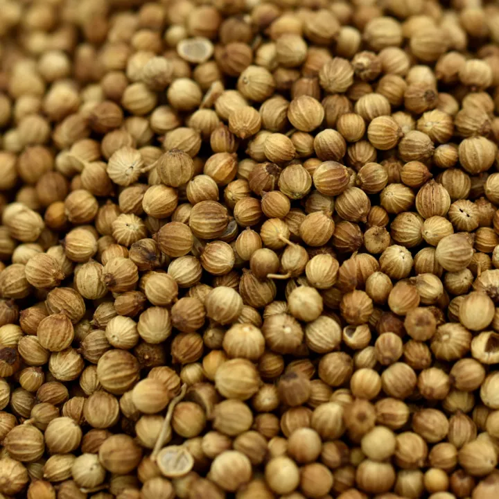 Coriander%20Seeds%20(Dhania%20Seed)%20100g%20-%20Image%203