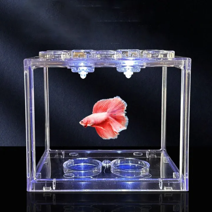 Mini%20Fish%20Light%20Mini%20Fish%20Candle%20Lamp%20Waterproof%20Decorative%20Submersible%20Mini%20LED%20Lights%20Plastic%20Square%20Fish%20Decorative%20Lamp%20Fish%20-%20Image%205