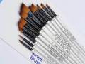 12 Pieces Professional Fine Tip Paint Brush Set Cut Tip Nylon Hair Artist Acrylic Brush for Acrylic Watercolor Oil Painting. 