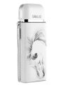 Caballo Pour Homme Armaf for men 100ml edp. 