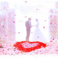 1000pcs Artificial Petals Romantic Artificial Rose Flower Petals Table Decoration. 