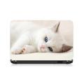 Universal Laptop Back Skin Wallpaper/Cute Cat Laptop 3D Simple And Fashionable laptop back sticker. 
