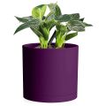 🌿 Fast Forward 6-Inch Plastic Planter Pots – Cylindrical Stylish, Durable & Plant-Friendly with Drainage & Seamless Saucers!. 