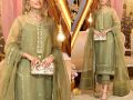 Handwork Embroidered Organza Party Wear Dress 2022. 