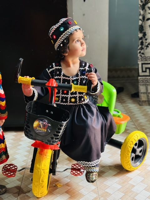 Baby%20girls%20Sindhi/pathani/balochi%20dresses%20-%20Image%206