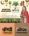 Tamr-e-Panjgur - Panjgur Special Dates - Panjgoor Khajoor - Premium Quality Tamre Panjgur Dates Panjgur Delight- 1 KG Special Box. 