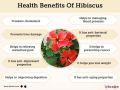 SK ORGANIC Hibiscus powder For Hair Fall And Growth 150g. 