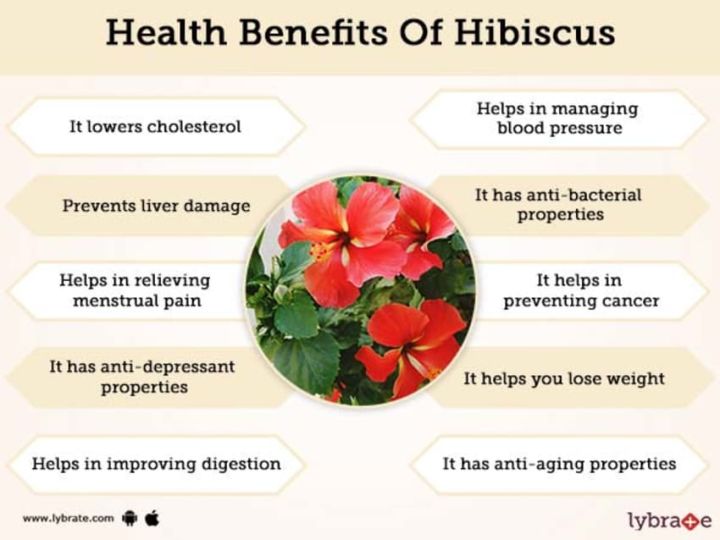 SK%20ORGANIC%20Hibiscus%20powder%20For%20Hair%20Fall%20And%20Growth%20150g%20-%20Image%202
