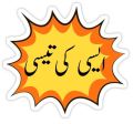 15 Pcs Funny Urdu Words Stickers Pack For Laptop,Desk, Notebook and  Mobile covers DIY Stickers - JangoMango Store. 