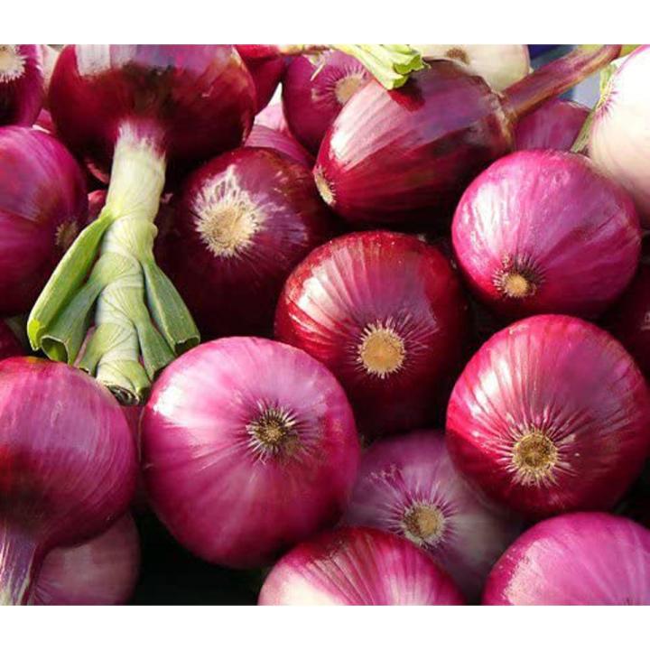 Onion%20Seeds%20-%20%20Variety%20Home%20Kitchen%20Gardening%20-%20Image%202