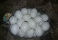 18 Piece - Artificial Plastic Egg Shell (Basic Learning Egg for Kids) Artificial Eggs - Hollow Egg Shell. 