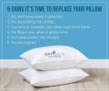Soft Siesta Down Alternative Sleeping Pillow Amazon Product (Pack of 2). 