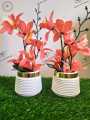 Artificial Flower Pots Set of 2 - Golden & White Elegant Small Table Vase, Decorative Flowers & Leaves for Home and Office Decoration, 10 Inches. 