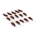 10Pcs/Pake Rubber Cockroach Funny Toy Special Lifelike Model. 
