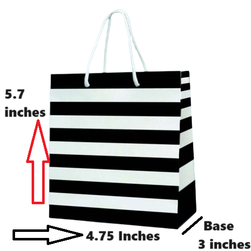 Stripes Kraft Retail Merchandise Party Black White Paper Gift Bag