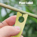 350Pcs Fruit Plant Label Garden Flower Tree Name Tag Marker Supplies. 