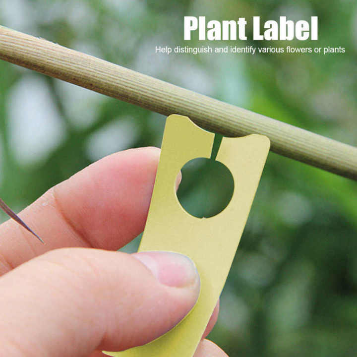 350Pcs Fruit Plant Label Garden Flower Tree Name Tag Marker Supplies
