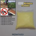 Sulphur Powder (Gandhak Powder) 500gm. 