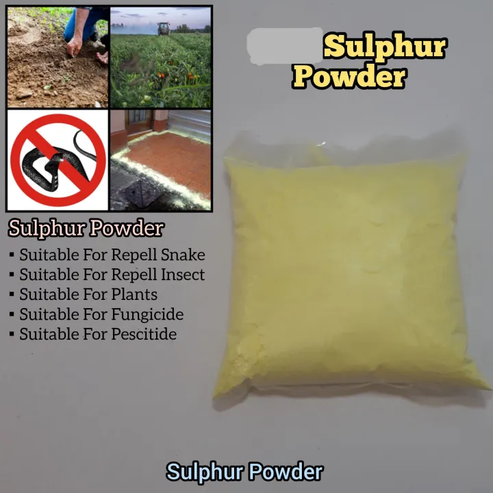 Gandhak%20Powder%20Sulfur%20500%20G%20-%20Image%204