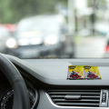 Car cleaning shampoo Quickies quality  pack of 6 sachet packs. 