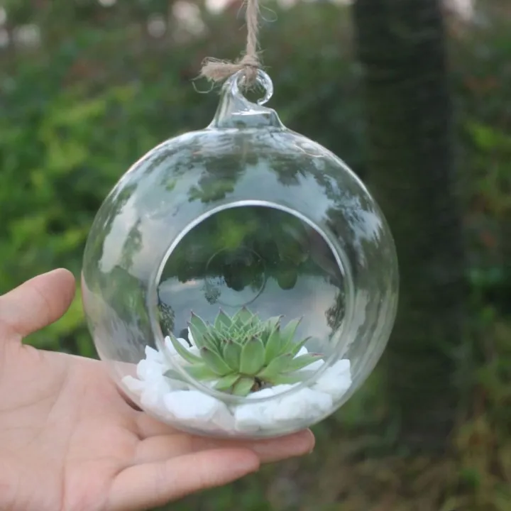 Ball Container Transparent Hanging Glass Vases Clear Ball Succulents ...