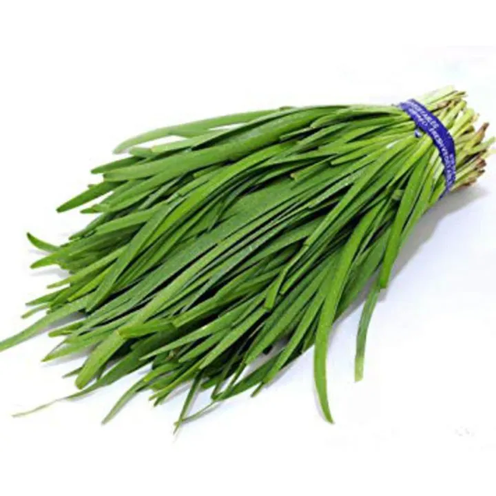 Garlic%20chives%20seeds-%20herb%20seeds-imported%20by%20hk%20dealer%20-%20Image%202
