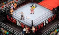 PC Game Fire Pro Wrestling World. 