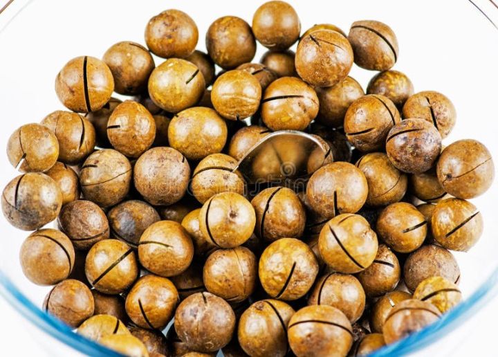 Macadamia Nuts In Shell Country Of Origin: Australia - 250g
