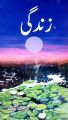 Zindagi by Ch Afzal Haq Urdu Language. 