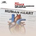 Human Heart Wall Chart | Wall Poster for Science Lab and clinics Decoration | HD picture Presentation on 200 grams Laminated Card 23*36 inches. 