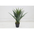 Imported artificial Yucca Plant with black Planter. 