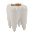 Tooth Shape White Ceramic Flower Pot Modern Design Planter Teeth Model Mini Desktop Pot Creative Gift(without plants). 