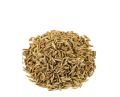 Sufaid Zeera White cumin seed 100 grams. 