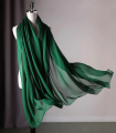 Dark Green Chiffon Dupatta For Girls/Ladies- Chiffon UnStitched Dupatta 2.5 Meter Color Premium Chiffon  Quality Durable Fabric Reasonable Stylish Look Dupatta. 