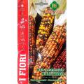 IMPORTED VEGETABLE SEED CORN 692. 