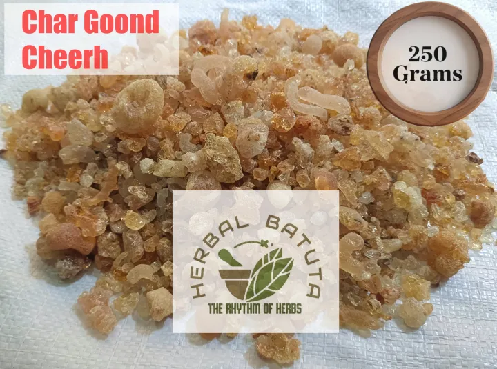 Char%20Gond%20%7C%20Cheerh%20-%20250%20Grams%20%7C%20Panjiri%20wali%20Gond%20%7C%20Char%20e%20Gond%20%20%20-%20250%20g%20-%20Image%204