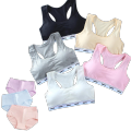 Women Seamless Bras And panties set for active wear, Soft and comfortable in multicolor. 