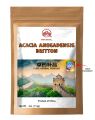 Acacia anegadensis Britton 114g. 