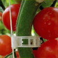 50pcs Trellis Tomato Clips Supports Connects Plants Vegetable Fastening Clip Sunlight Super Store. 