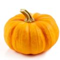 10 Seeds of pumpkin(Halwa Kaddu)  Kitchen garden. 