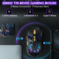 SOLAKAKA SM802 Wireless Gaming Mouse 10000 DPI Customized Macro Replaceble Switch RGB Gamer Mouse 63g Ultra-light. 