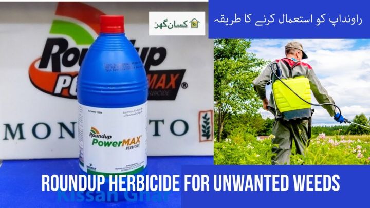 Round Up Power Max (HERBICIDE)