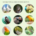 6 Pack Natural Wood Bird Toys, Bird Chewing Toys Parrot Toys, Birds Cage Toys Bird Parrot hanging Chewing Toys for Parrots and Other Birds. 