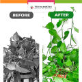 Techmanistan Pack of 10 - Self-Adhesive Plant Climbing Wall Fixture Clips, Vine Fixer Invisible Hook Plants Traction Clip. 