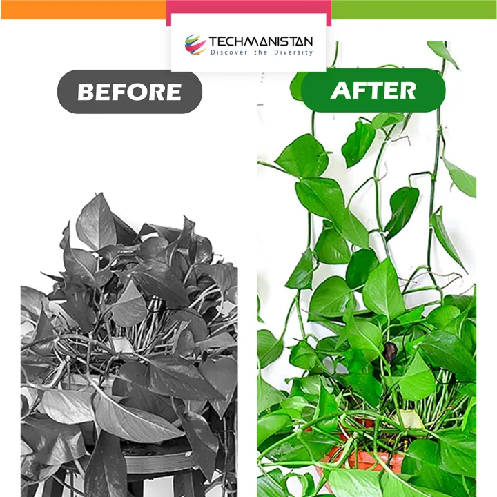 Techmanistan%20Pack%20of%2010%20-%20Self-Adhesive%20Plant%20Climbing%20Wall%20Fixture%20Clips,%20Vine%20Fixer%20Invisible%20Hook%20Plants%20Traction%20Clip%20-%20Image%204