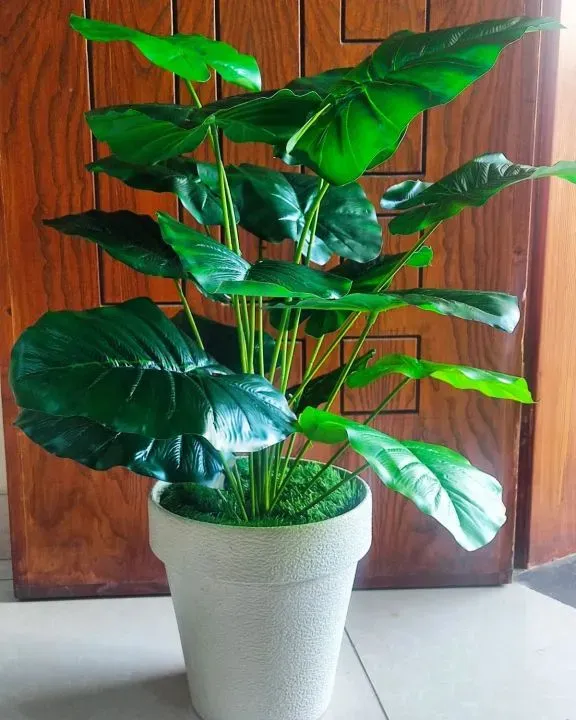 Artificial%20Plants%20for%20Home%20Decor%20Indoor,%20Large%20Faux%20Plants,%20Tall%20Plants%20for%20Living%20Room%20Decor%203ft%20Height%20Artificial%20Plants%20for%20Home%20Decor%20Indoor,%20Large%20Faux%20Plants,%20Tall%20Plants%20for%20Living%20Room%20Decor%203ft%20Height%20-%20Image%203