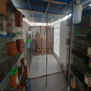 PVC%20Plastic%20Strip%20Curtains%20for%20A.C%20Cooling/%20Dust%20protection%20-%20Image%207