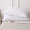 Pack of 2 - Organic Silk Cotton Pillow. 
